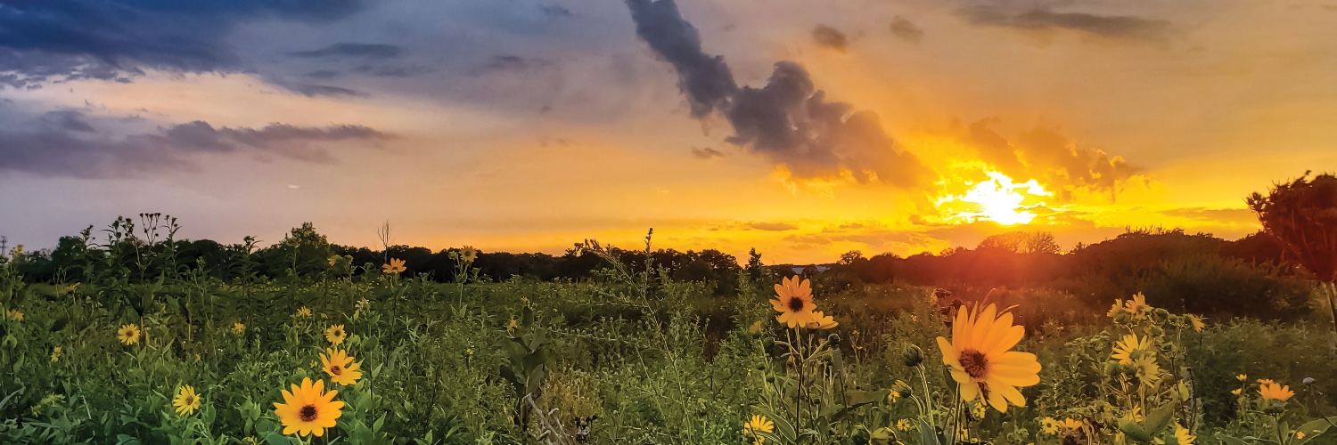 Lake County Forest Preserves banner