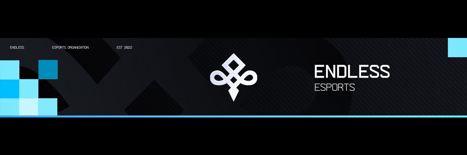 Endless Esports banner