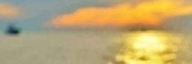 💛 Elena 🌻❤'s banner