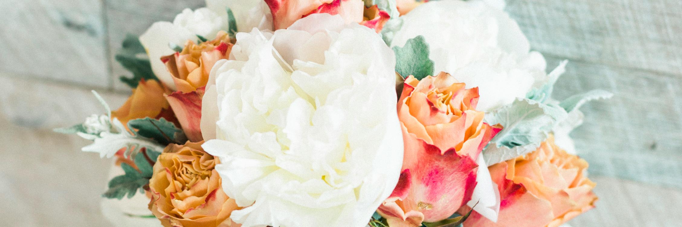 anna_faux's profile banner image