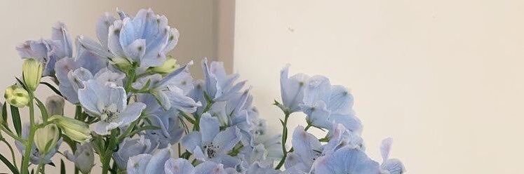 ihugieber's profile banner image