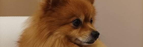 ezlfb's profile banner image