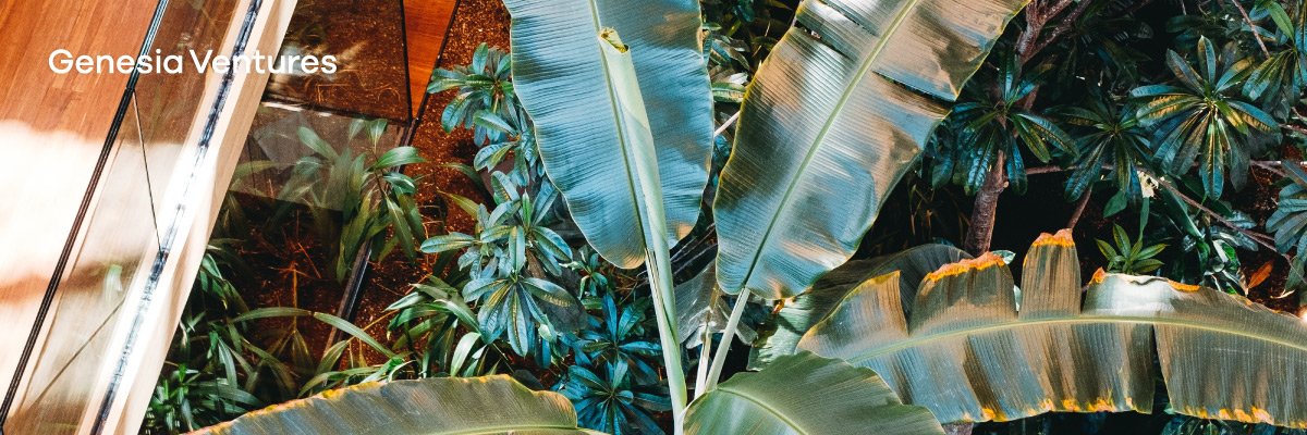 ジェネシア・ベンチャーズ｜シードVC 🇯🇵🇮🇩🇻🇳🇮🇳 banner