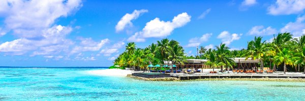 Ume_Moonshot Profile Banner