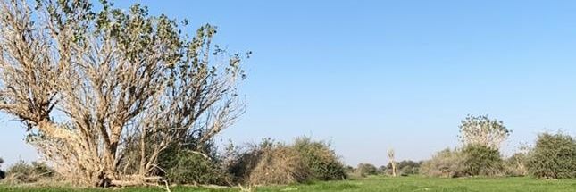 kajhani2010's profile banner image