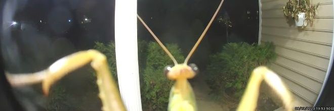 Jasper_Navall banner