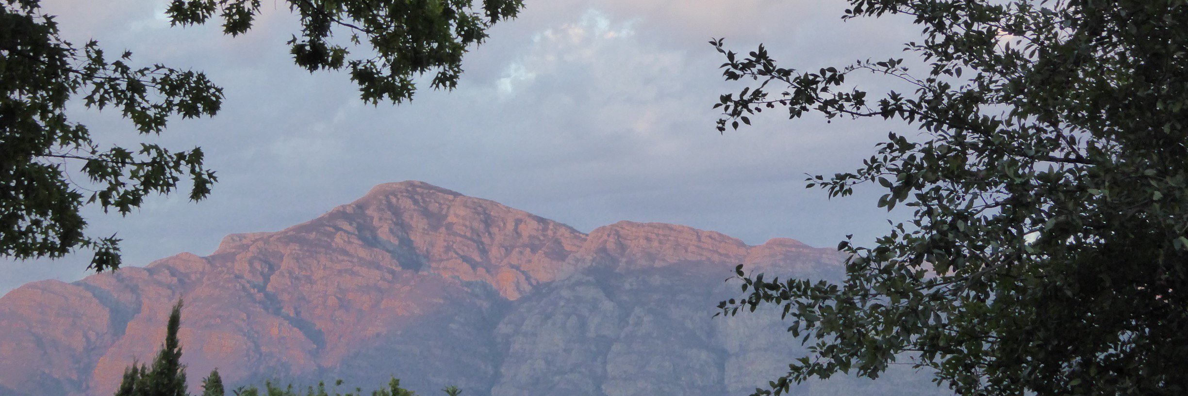 Stewart Lewis banner