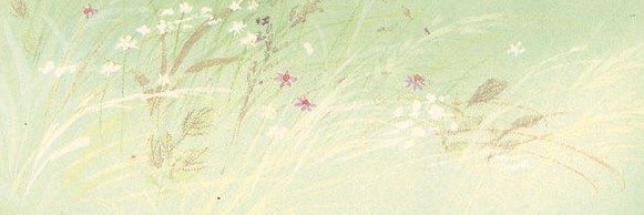 🛋️💬 banner