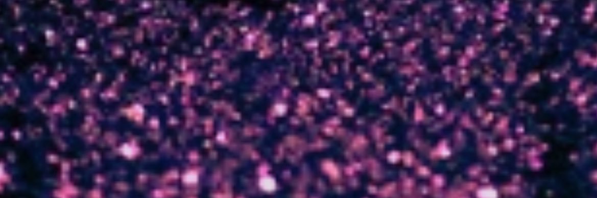emilee (doops) banner