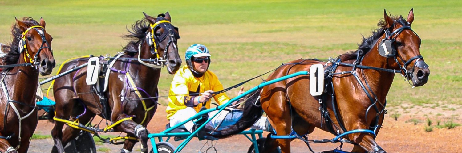 Michael Blakemore banner