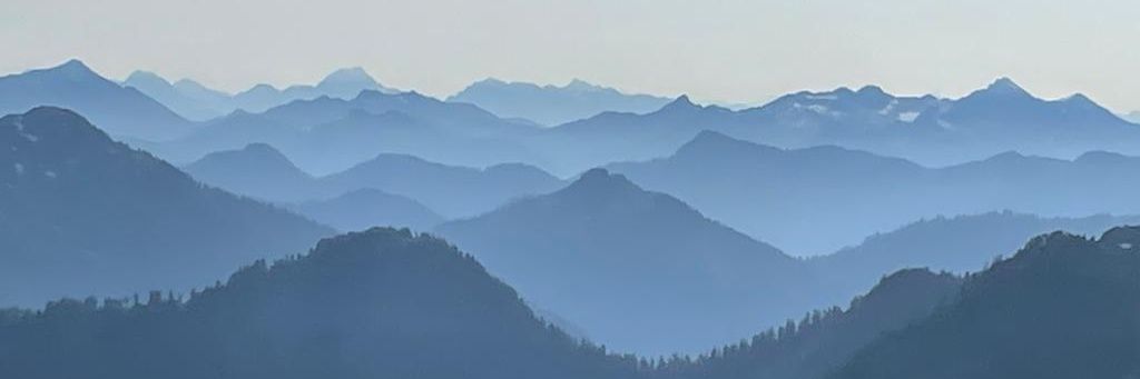 navidaul's profile banner image
