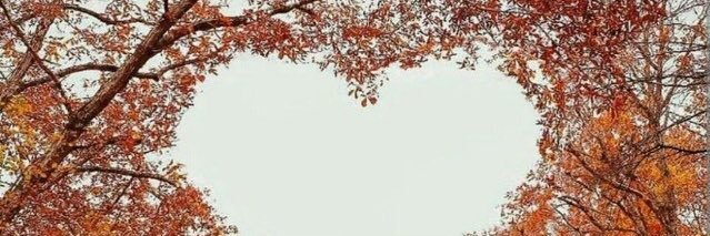 쎄씨루 banner