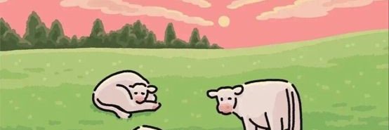 Paula Mite banner