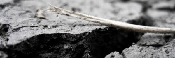 precINGV Profile Banner