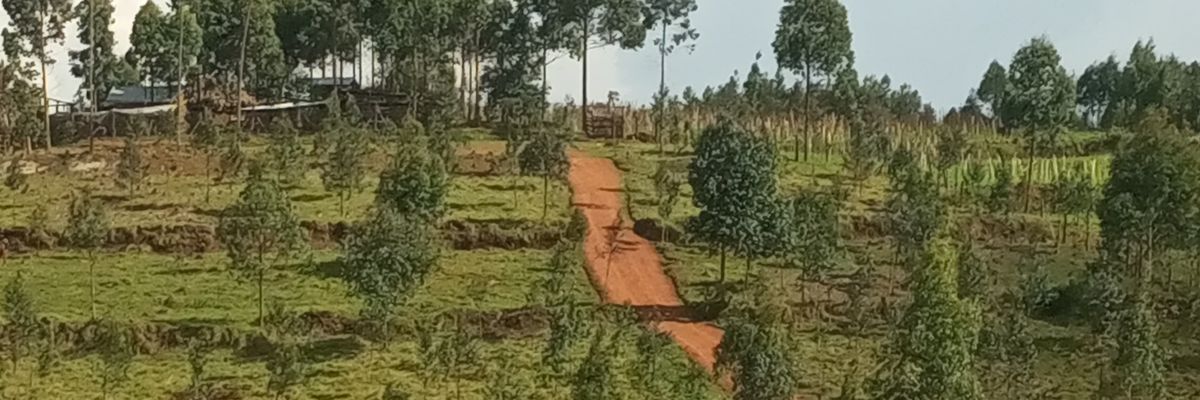 ByarugabaMark2's profile banner image