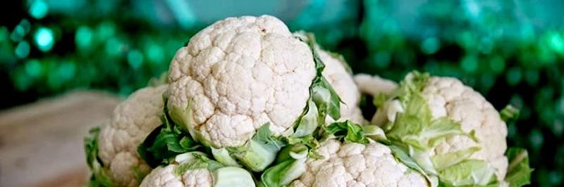 राजा बाबू 👑 banner