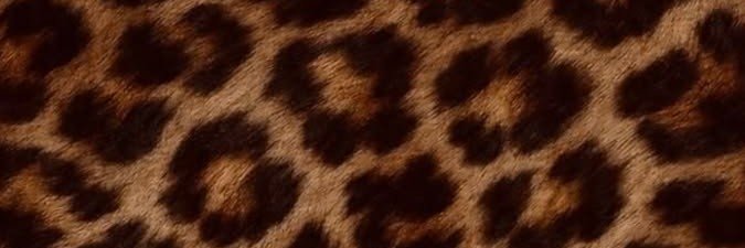 ana__roro's profile banner image