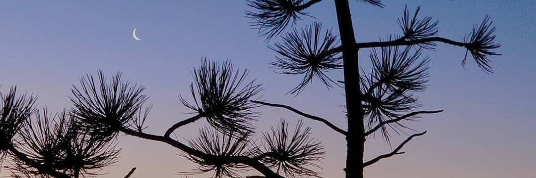 skyeeuuu's profile banner image