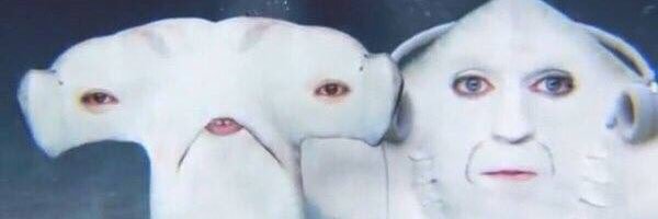 hate_this_kate's profile banner image
