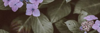 troxel's profile banner image