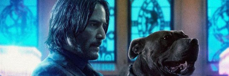 mori summer 🎀 banner