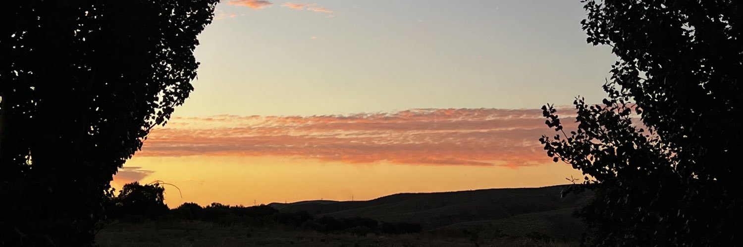 RocioPiinto30's profile banner image