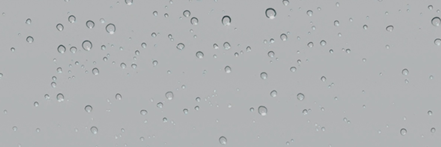 Susie Jones banner