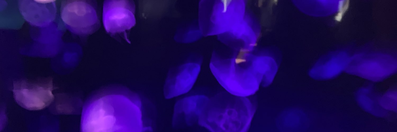 mtg__blue36's profile banner image