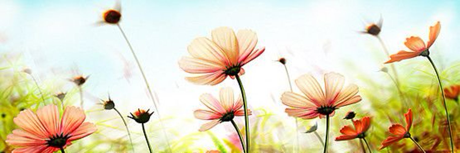 debrownsuttonX's profile banner image