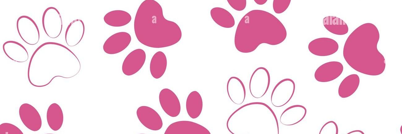 Magda 477 banner