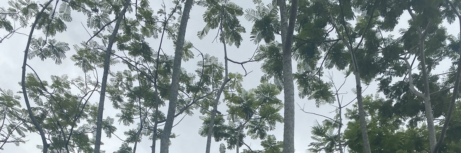 niceeescobar's profile banner image