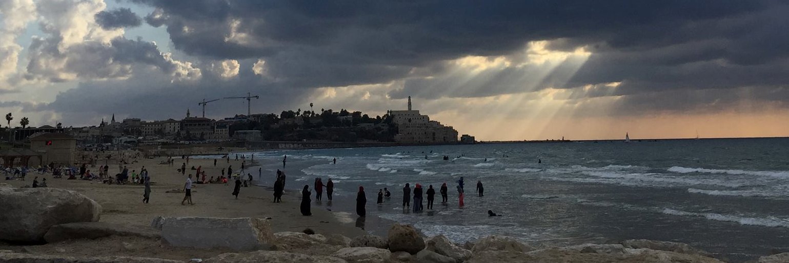 Benjamin Hammer banner