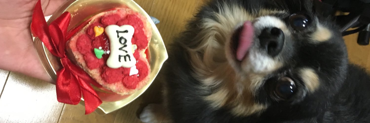 iamchaokun's profile banner image