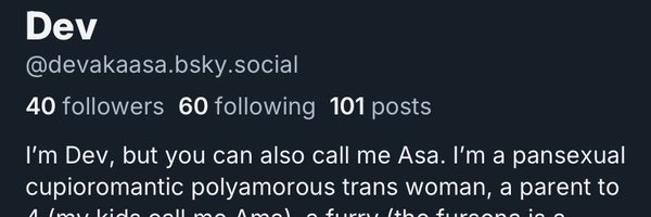 dev_aka_asa Profile Banner