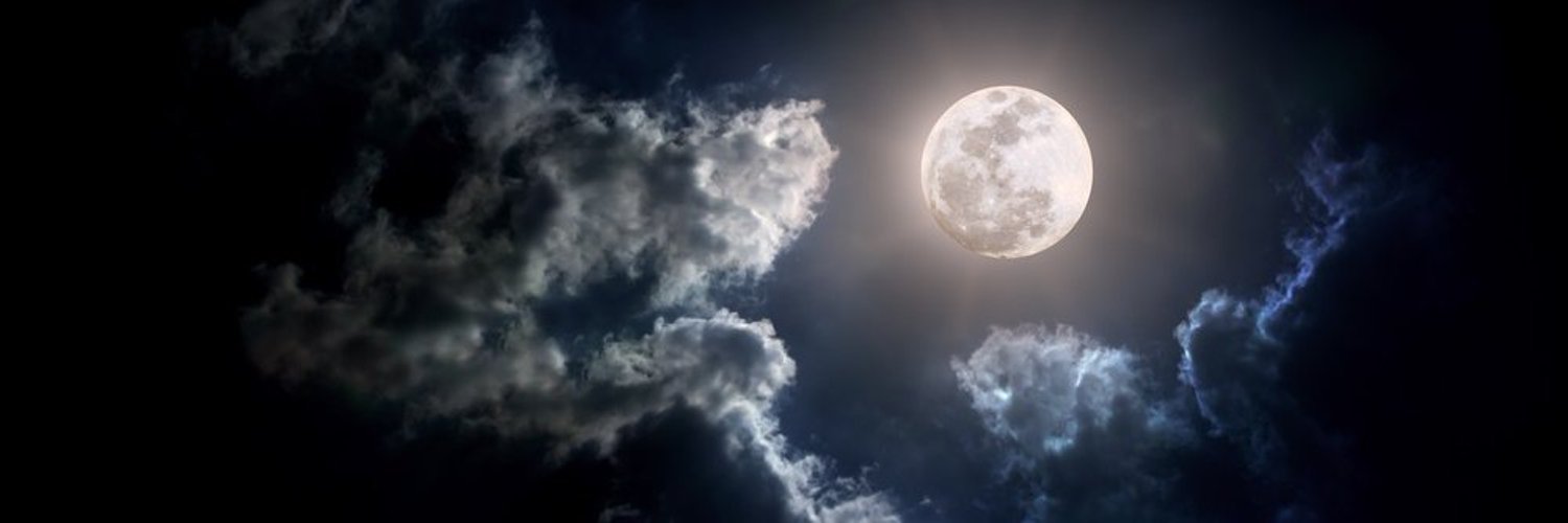 The Moon 🌙's banner