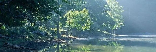 灵澤 奇门八字风水易学算命 banner