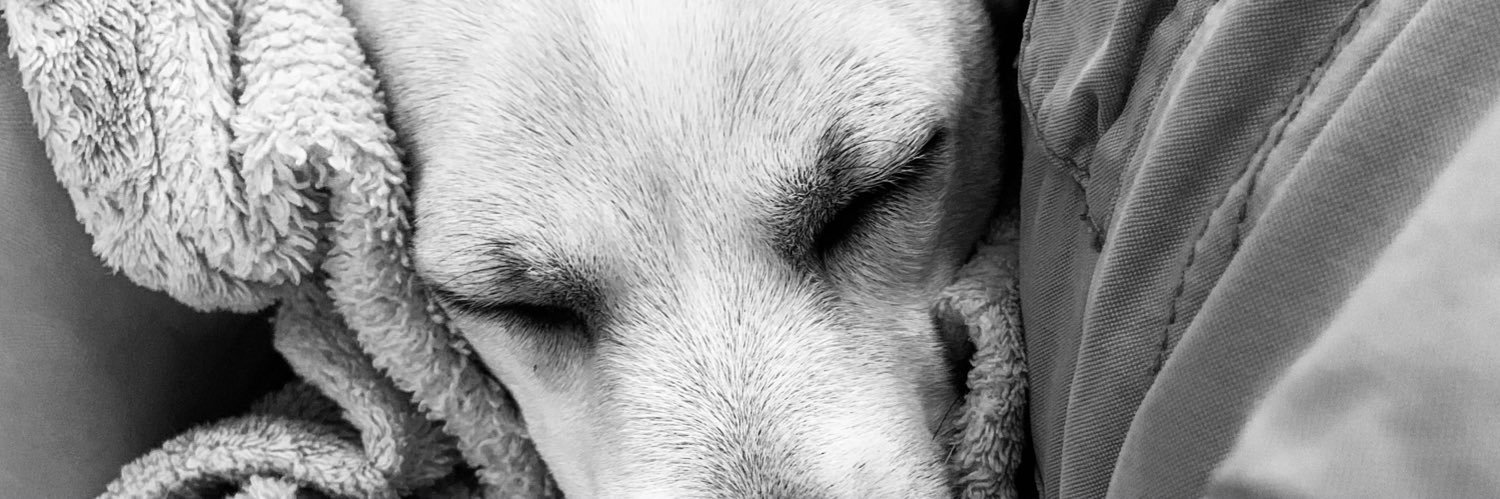 mopland1's profile banner image
