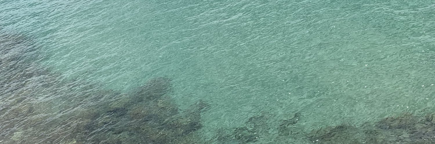 elimorepal's profile banner image