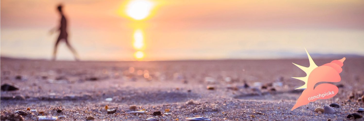 conchpick's profile banner image