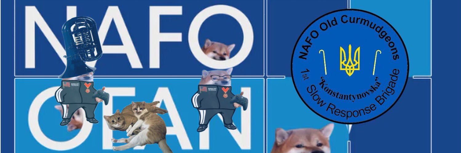 queenwarttoad's profile banner image
