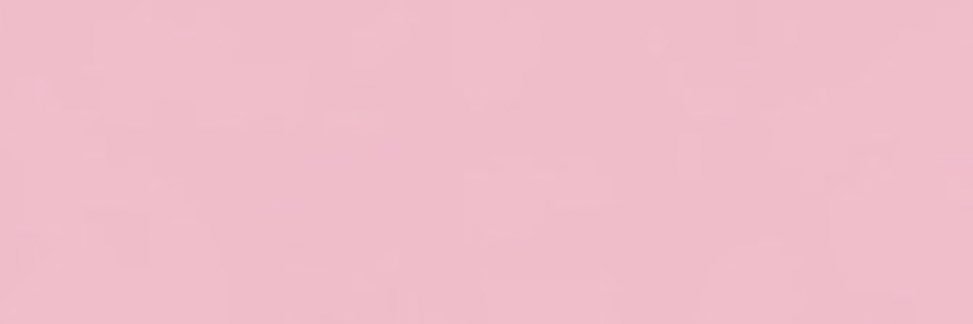 MISS BARB's banner