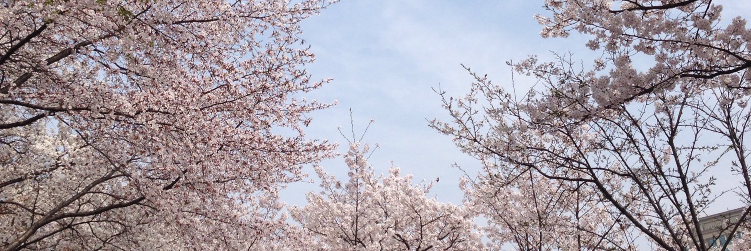 __meiting__'s profile banner image