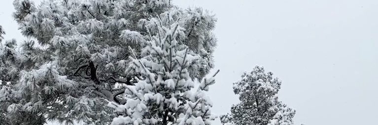 ChainsFellOff94's profile banner image