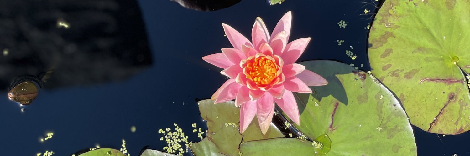 Monika Anderson banner