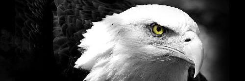 omerturkf's profile banner image