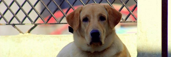 kanny38's profile banner image