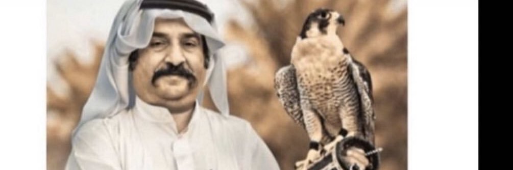 DrReem73733's profile banner image