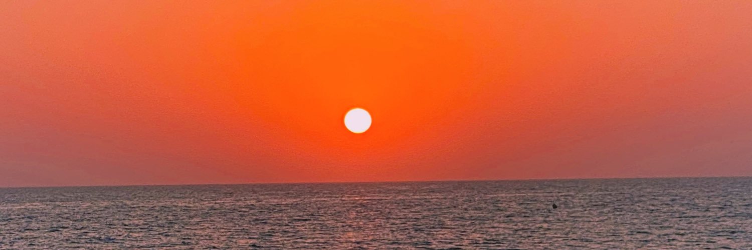sussurf's profile banner image