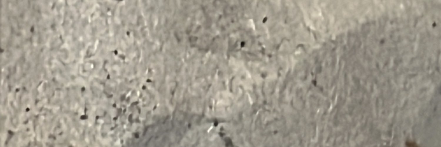 البراء بوحمد banner