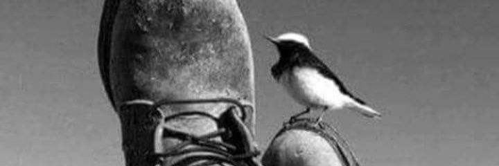 dmlbydy11's profile banner image